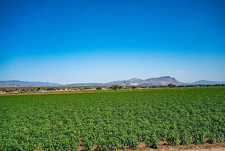 An Exciting I-25 Road Trip in New Mexico