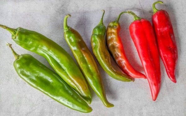 Many different varieties of New Mexico chile