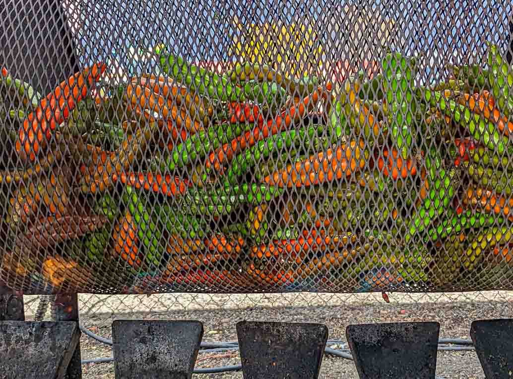 a sack of chile pintado, mixed red and green chile roasting during peak Hatch chile season