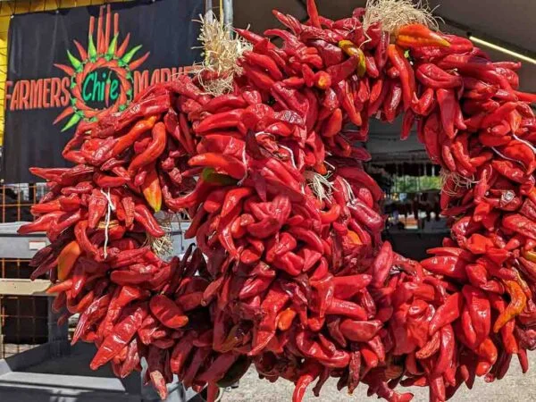 two Hatch red chile wreaths in front of Farmers Chile Market in Albuquerque, NM