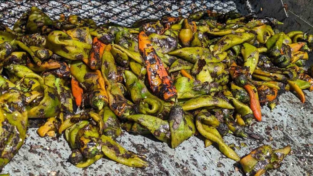 Roasted chile just coming out of a chile roaster