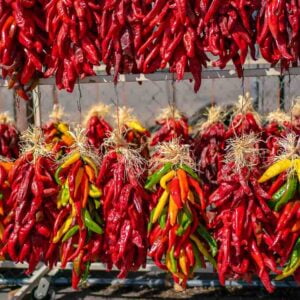 several different chile ristras, including multicoloed 1 ft Hatch chile ristras at Farmers Chile Market in Albuquerque