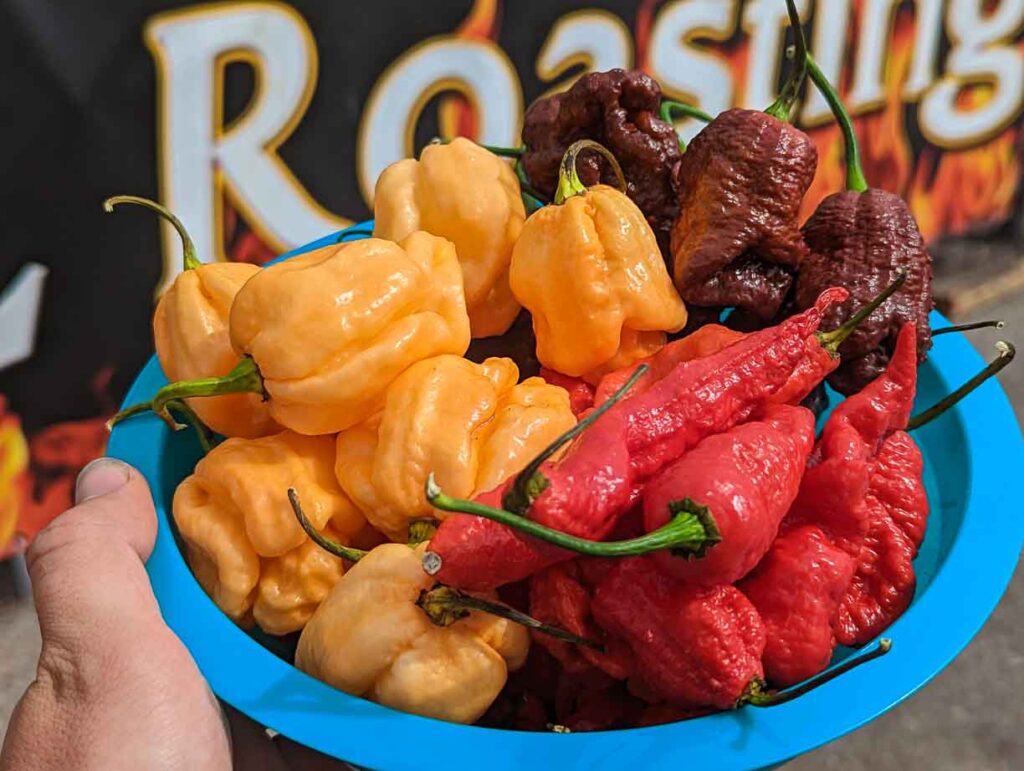 a bowl full of ghost peppers and some 7 pot varieties.